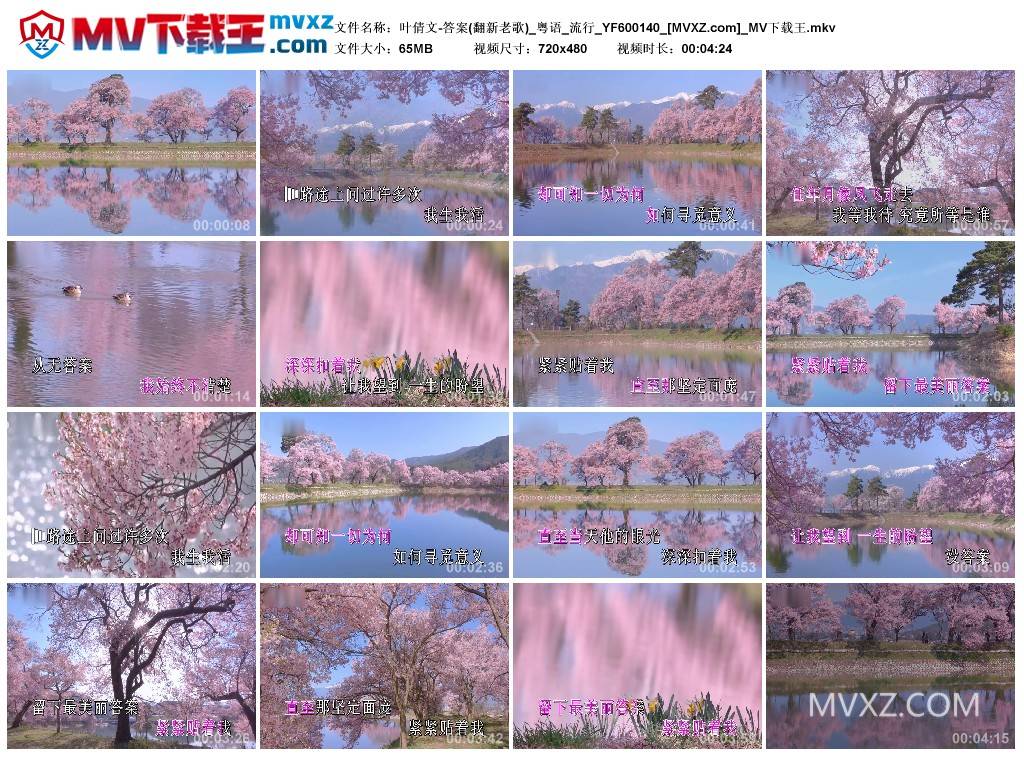 叶倩文-答案(翻新老歌)_粤语_流行_YF600140